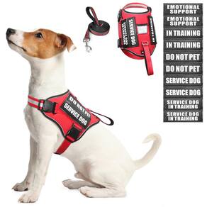 Conjunto de arreios e coleiras para cães de serviço WINSEE para cães vermelho (S)