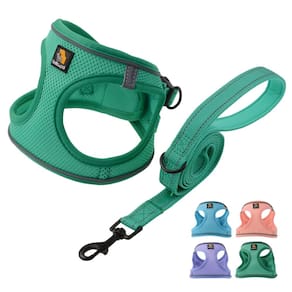 Conjunto de arnês para cães BELLA & PAL Small Emerald com coleira refletivo