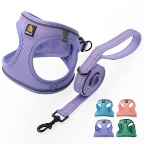 Arnês para cães BELLA & PAL Puppy No Pull Purple Lavender XXS