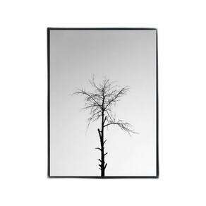 Quadro Fotografia Árvore Seca 33X24Cm - Vidro Moldura Preta
