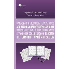 O atendimento educacional especializado aos alunos com deficiência visual em escolas públicas e centros especializados