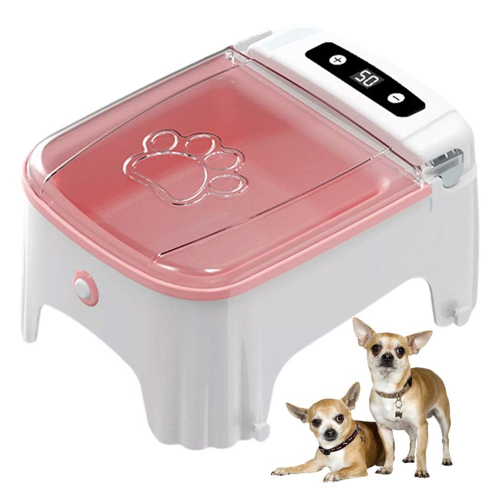Comedouro Automatico Pet Cachorro Gato Cao Raçao Petisco Sensor de Movimento Presença Temporizador Programavel Animal de Estimaçao