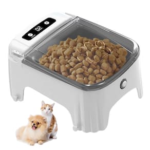 Comedouro Automatico Pet Cao Gato Cachorro Raçao Petisco Sensor de Movimento Presença Temporizador Programavel Animal de Estimaçao