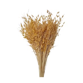 Capim Sementinha - Sempre vivas - Natural e Desidratado
