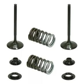 Válvula de Admissão e Molas Namura CRF 250R 10/15 Aço Kit 2 Peças