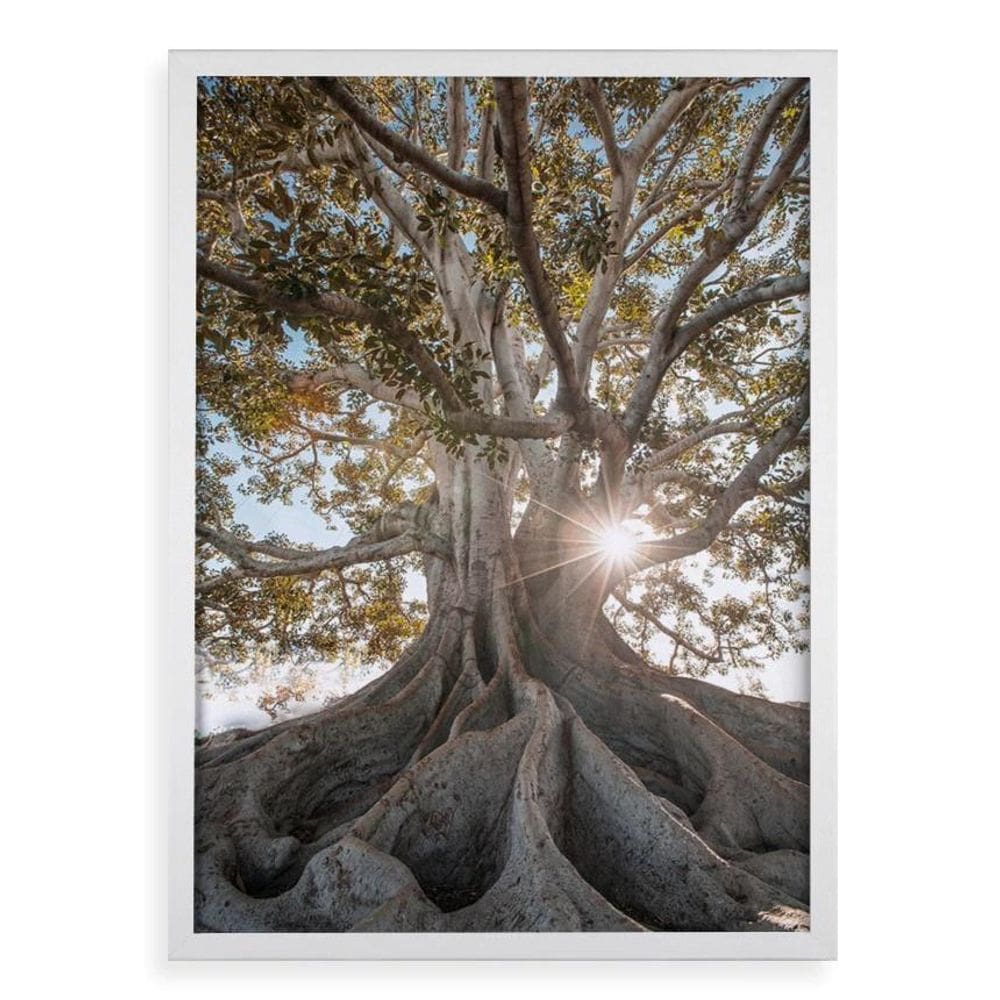 Quadro Decorativo Raízes - Árvore 33X24Cm - Com Vidro