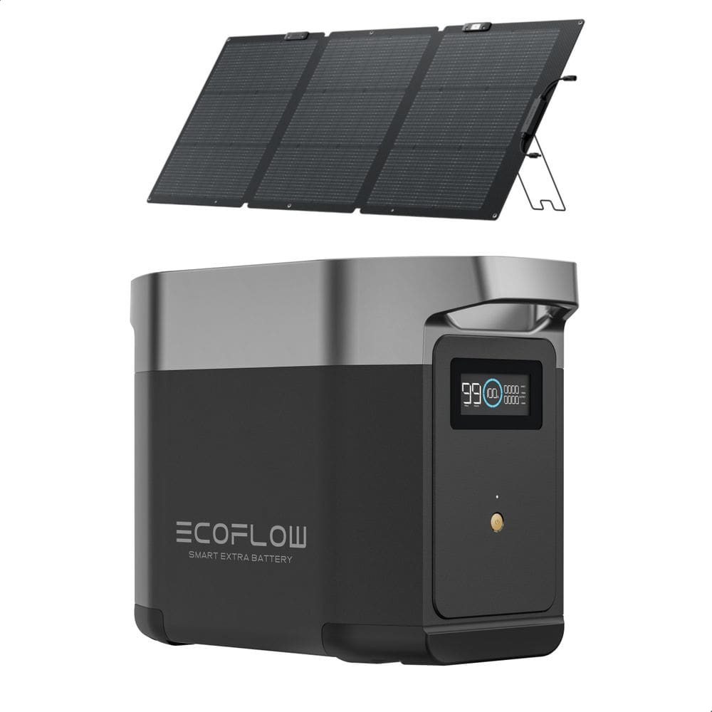 Estação De Energia Bateria Portátil Delta 2 1800w 220v Ecoflow Gerador +Painel solar 160W