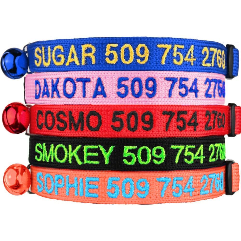 Coleira de gato GoTags personalizada com nome e número