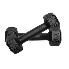 Kit 2 Halter Sextavado Pintado 2Kg Academia Treino Ferro