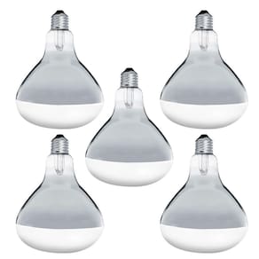 Lâmpada Secagem 250W E27 Kit 5 Lâmpadas - 220V