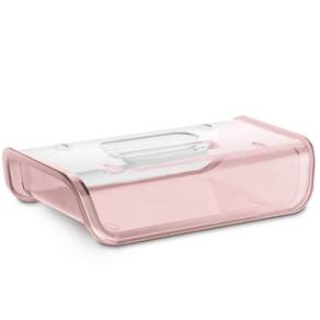 Porta Frios Plástico Tampa Transparente Pote Queijo Presunto Uz