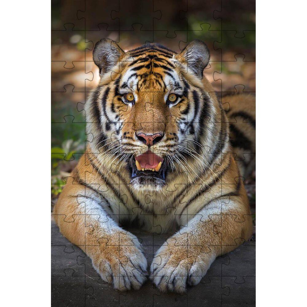 Quebra-Cabeças Tigre De Bengala De 60 Peças Educativo