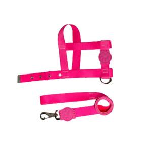 Coleira Peitoral Neon Para Cães Tradicional 25Mm - Rosa Nº4