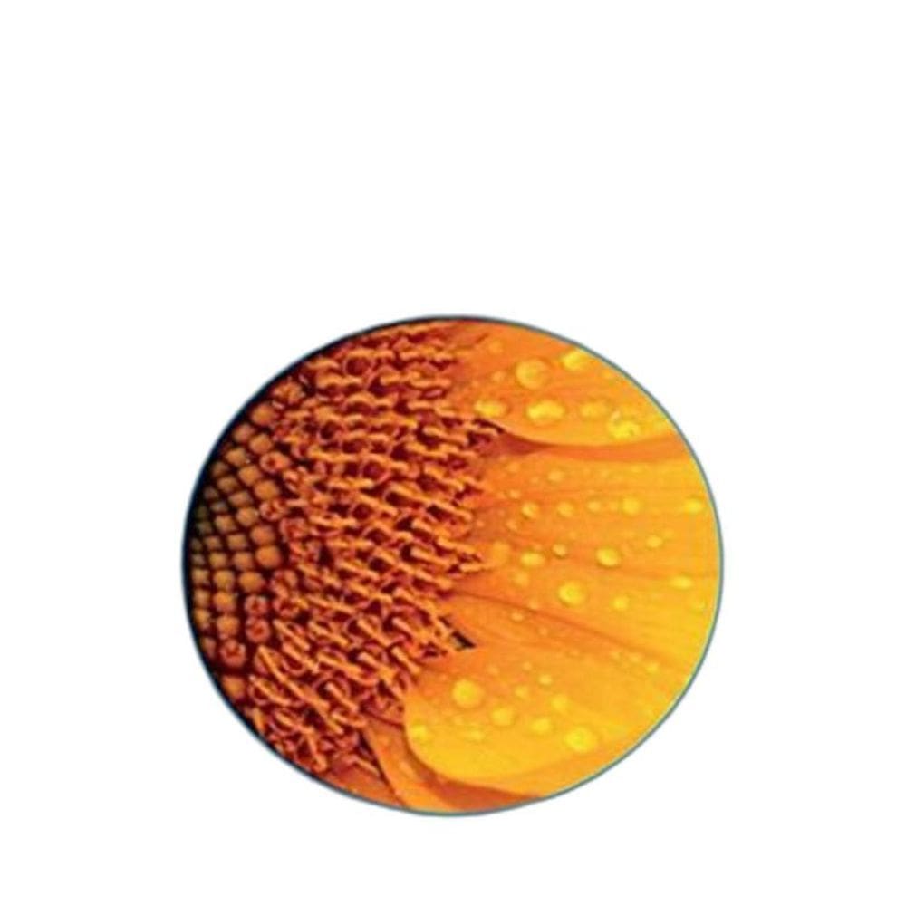 Livro Guess What 2 - Pupil