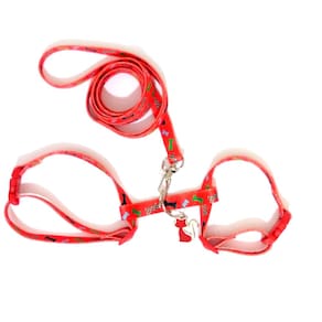 Conjunto Peitoral Gatos Vermelho Tam. Único  12Cm a 22Cm