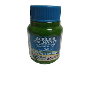 Tinta Acrílica Brilhante Verde Musgo - 513 - Acrilex - 37Ml