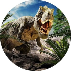 Painel Redondo 3D Sublimado Dinossauro Frd-1035