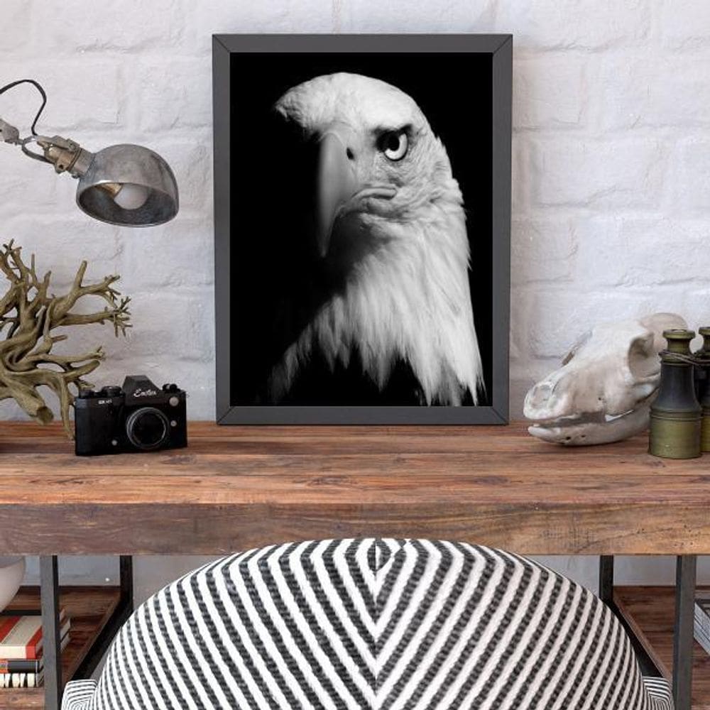 Quadro Fotografia Águia 45X34Cm Moldura Preta