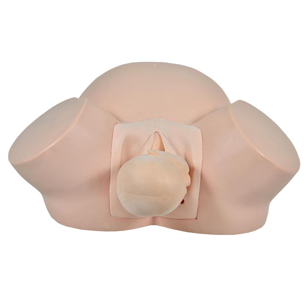 Simulador Médico Parto Básico