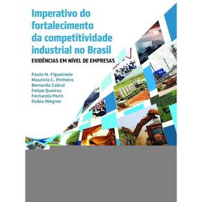 Imperativo Do Fortalecimento Da Competividade Industrial No Brasil - Evidencias Em Nivel De Empresas