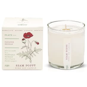 Vela perfumada KOBO Siam Poppy 265 mL com caixa plantável