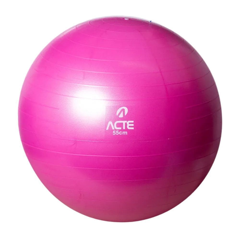 Bola Acte Gym Ball 55cm Unissex T9-55RS