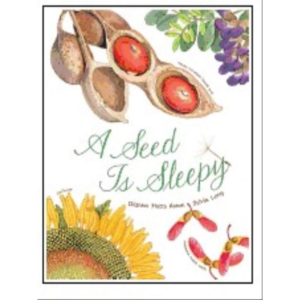 A Seed Is Sleepy