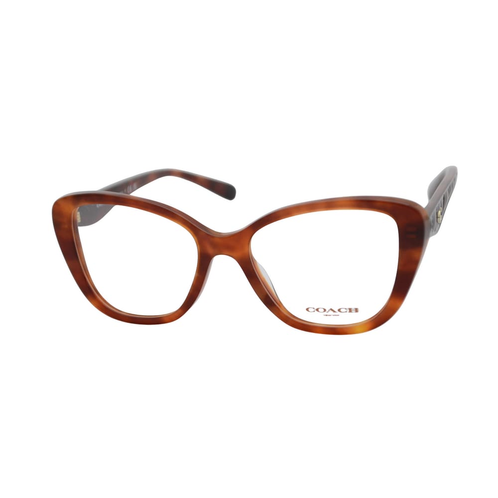 armação de óculos Coach mod hc6255u 5774