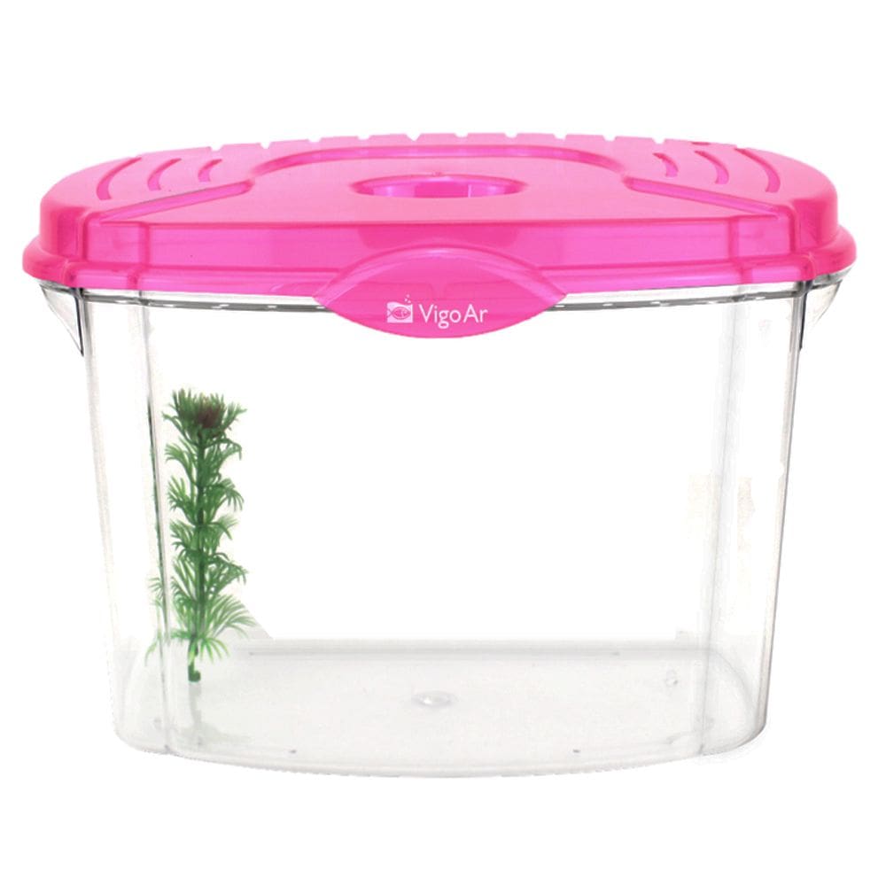 Aquário Beteira New Betta Flex Classic 4,2L Vigoar
