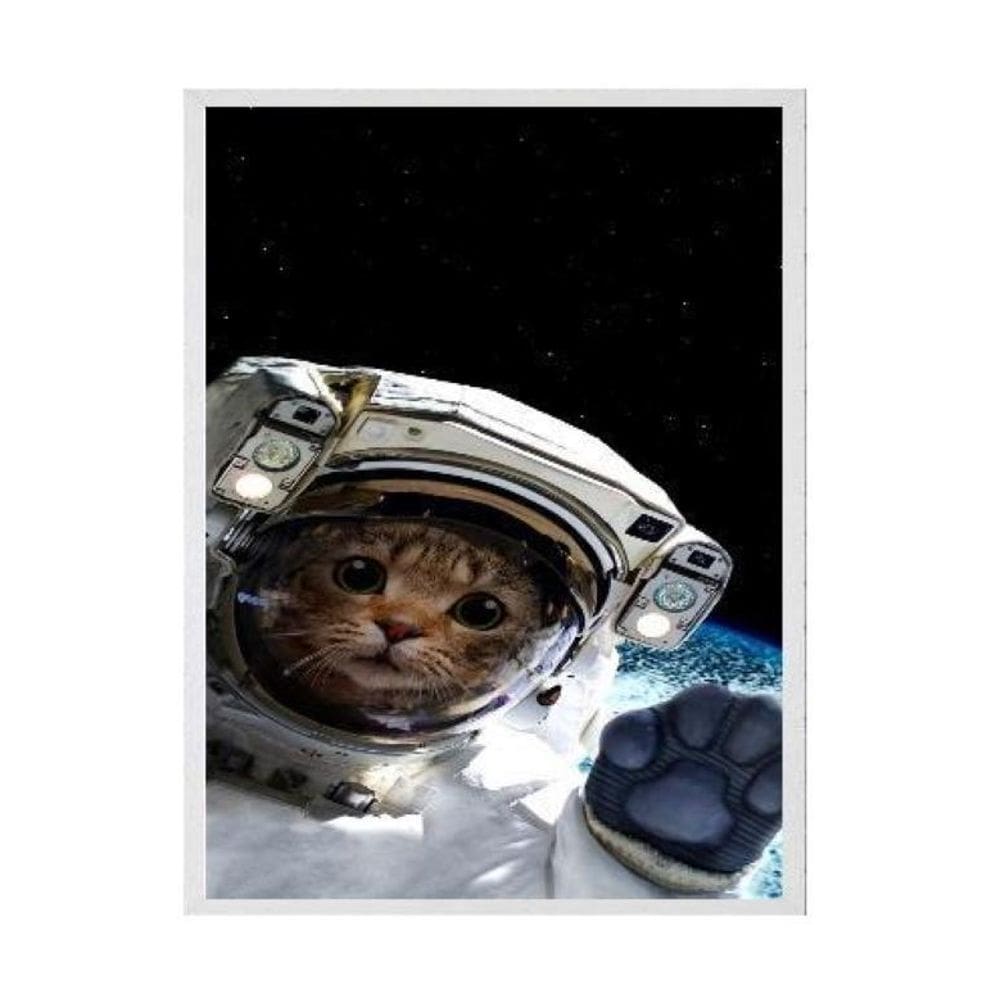 Quadro Decorativo Gatinho Astronauta 24X18 Com Vidro Branca