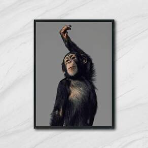 Quadro Macaco Performance 33X24Cm - Com Vidro Moldura Preta