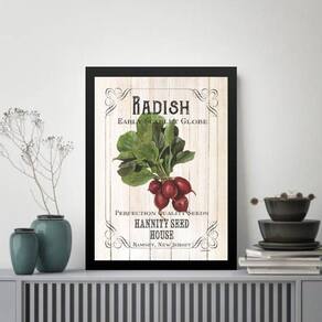 Quadro Vintage Para Cozinha Rabanete 24X18Cm