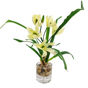 Orquídea Branca Planta Artificial 31X20X17Cm Com Vaso