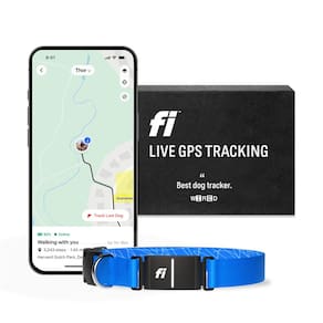 Coleira inteligente para cães, monitor de atividade com rastreador GPS Fi Series 3, azul