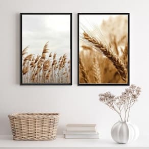 Kit 2 Quadros Trigo E Capim Dos Pampas 33X24Cm Madeira Preta