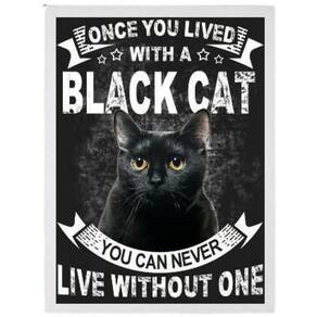 Quadro Decorativo Black Cat 45X34Cm C/Vidro Madeira Branca