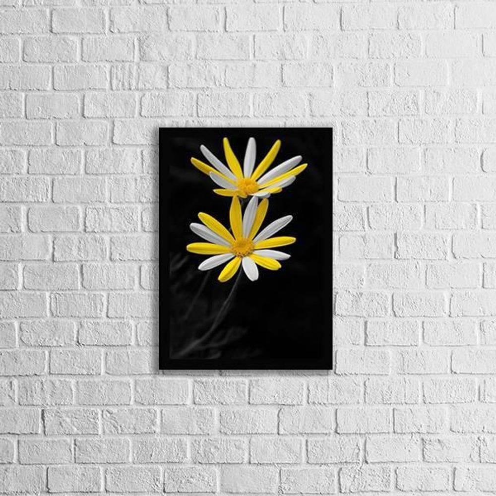 Quadro Fotografia Margarida Amarela E Branca 45X34 Preta