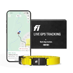 Rastreador GPS Smart Dog Collar Fi Series 3 à prova d`água amarelo