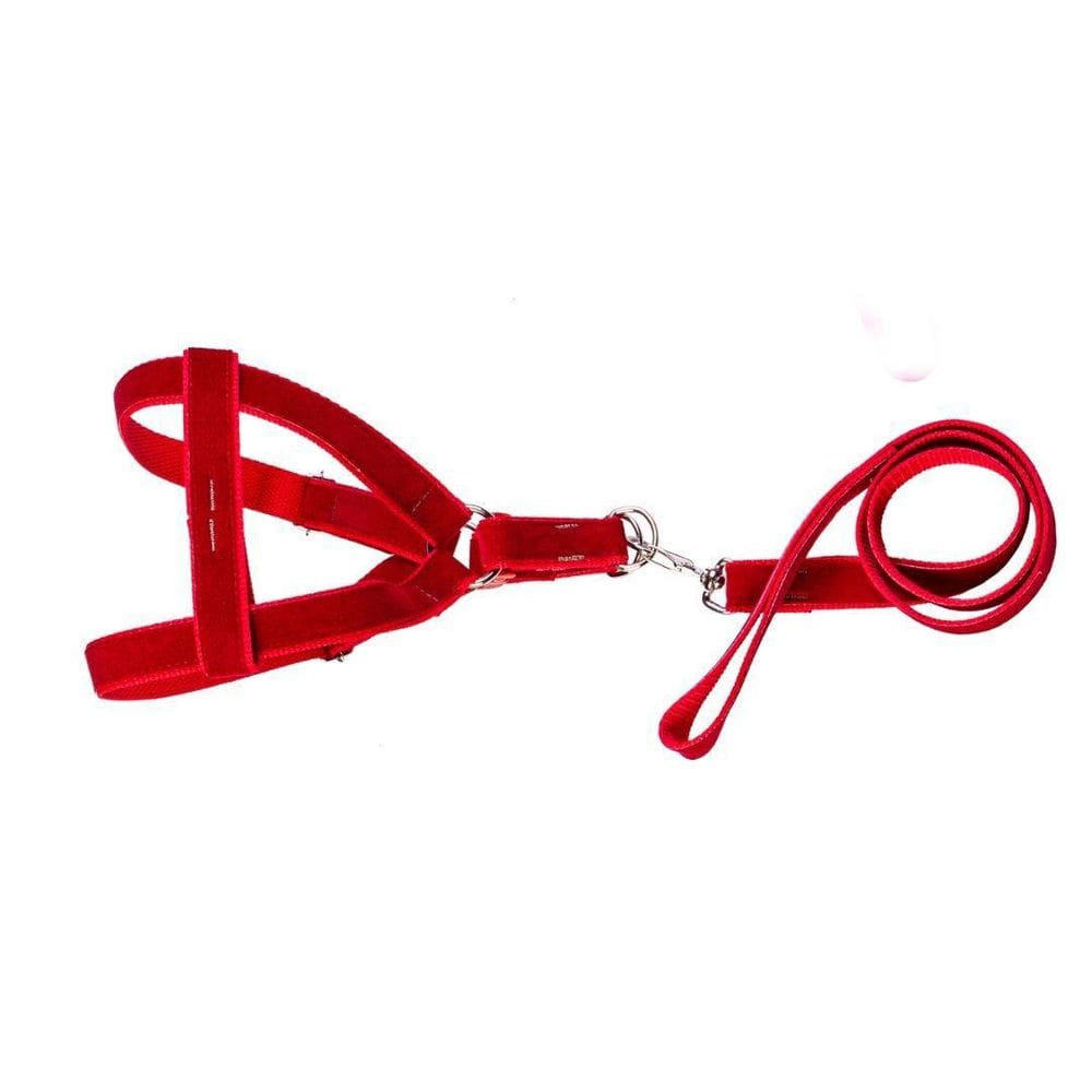 Coleira Peitoral Americano De Camurça Vermelho- N.3