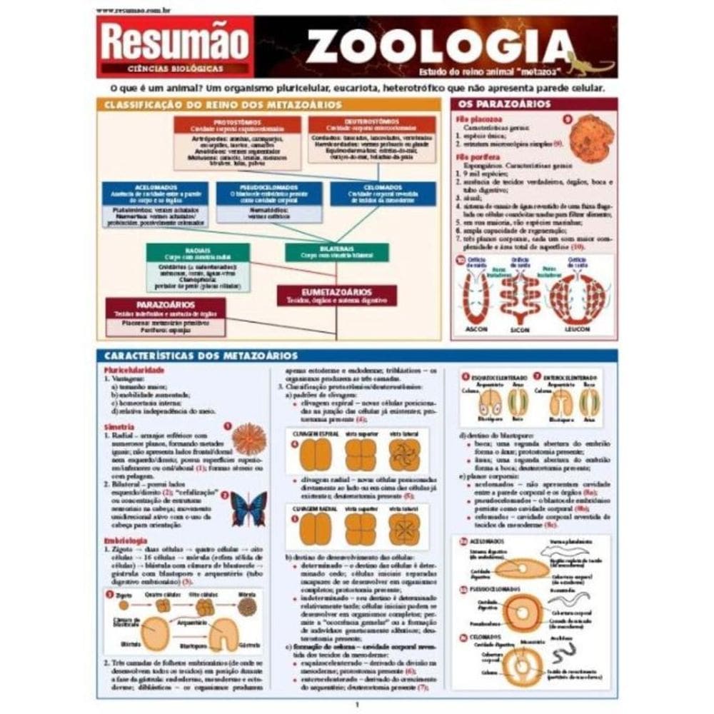 Zoologia - 01Ed/05