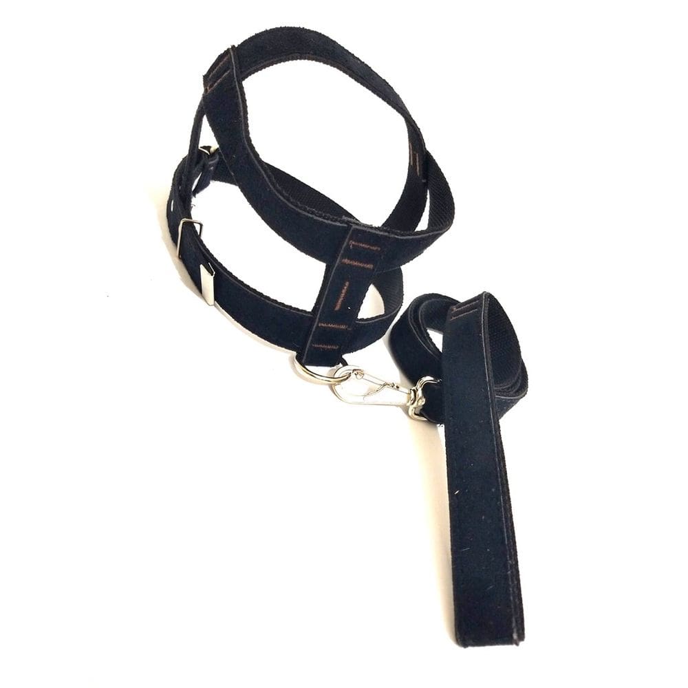 Conjunto Peitoral e Guia de Camurça 25mm Preto Tamanho 5