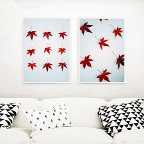 Kit 2 Quadros Maple 45X34Cm