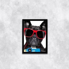 Quadro Bulldog Francês Férias 33X24Cm - Vidro Moldura Preta