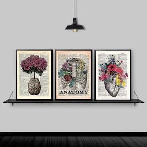 Kit 3 Quadros Anatomia Medicina 24x18cm - Vidro, Preta