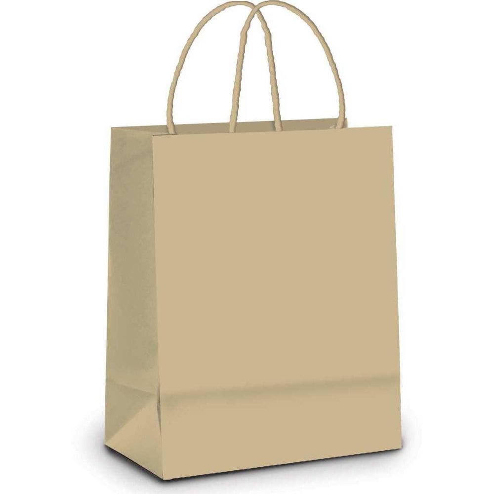 Sacola Para Presentes Kraft G 32X26,5X13Cm 10 und
