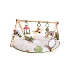 Ginásio de desenvolvimento e tapete de jogos Tiny Love Boho Chic Gymini
