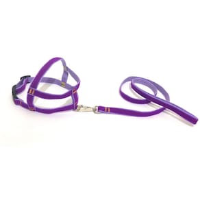 Conjunto Peitoral de Veludo liso roxo tamanho 05