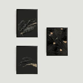 Kit 3 Quadros Folhas Pretas 24X18Cm Moldura Madeira Branca
