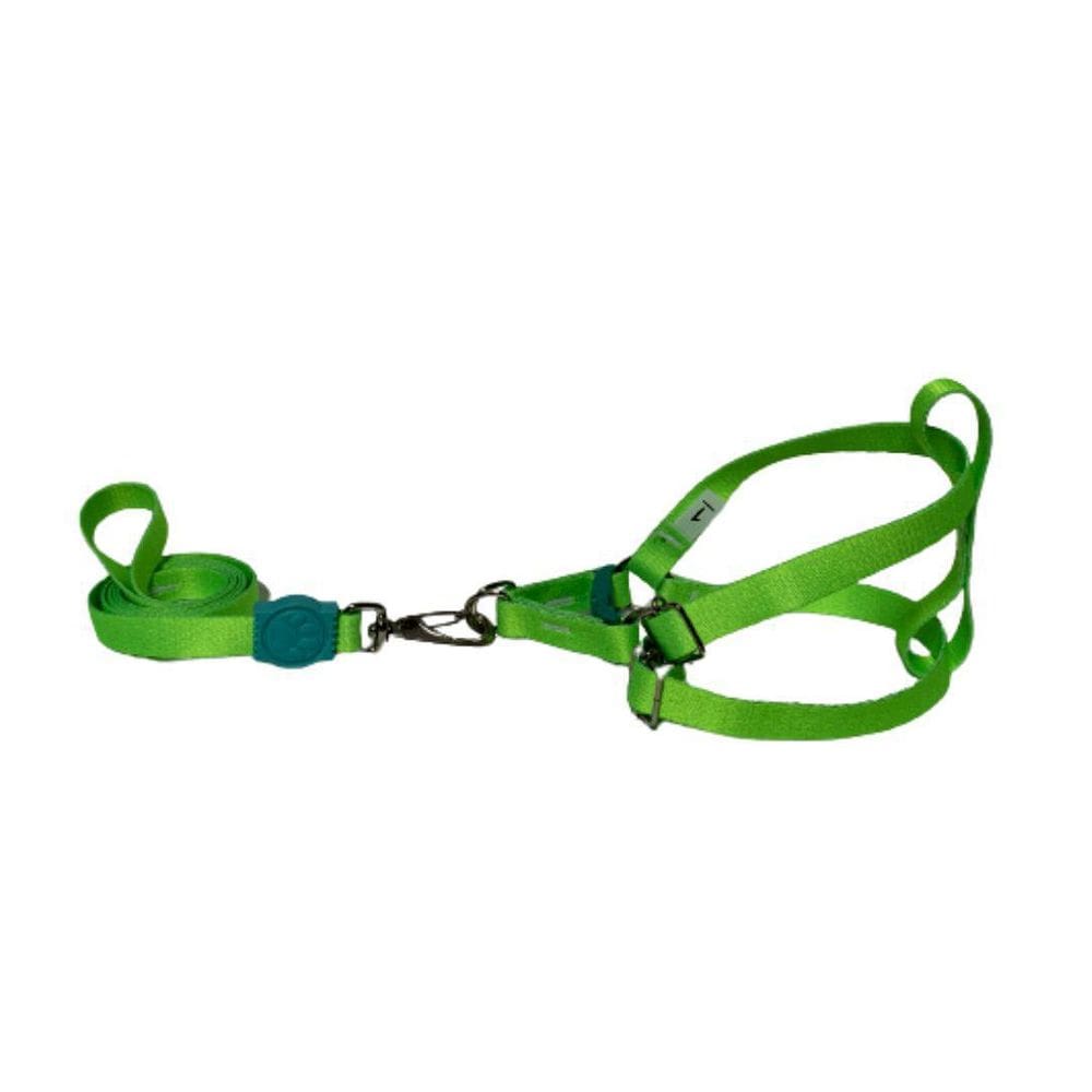 Coleira Peitoral Para Cães Americano 15Mm - Verde Neon Nº 4
