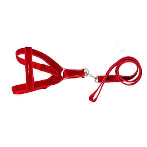 Coleira Peitoral Americano De Camurça Vermelho - N.7